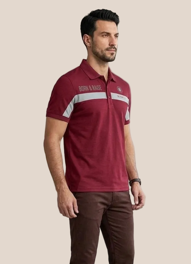 Polo T-Shirt for men